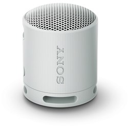 Sony SRS-XB100 Compact Wireless Bluetooth Speaker (Grey)