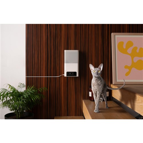 Petcube Bites 2 Lite Smart HD Pet Camera with Treat Dispenser