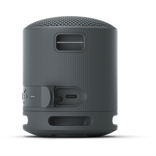 Sony SRS-XB100 Compact Wireless Bluetooth Speaker (Black)