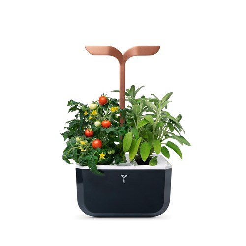 Véritable® EXKY Indoor Garden Smart (Copper)