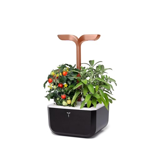 Véritable® EXKY Indoor Garden Smart (Copper)