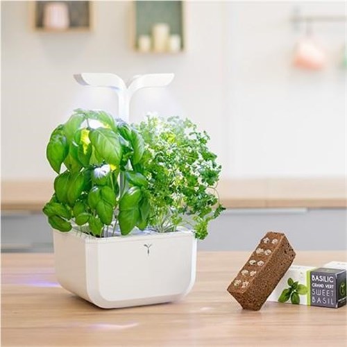 Véritable® EXKY Indoor Garden (Classic)