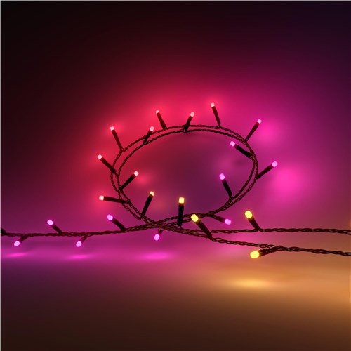 Philips Hue Festavia Smart String Lights (20m)[250 LEDs]